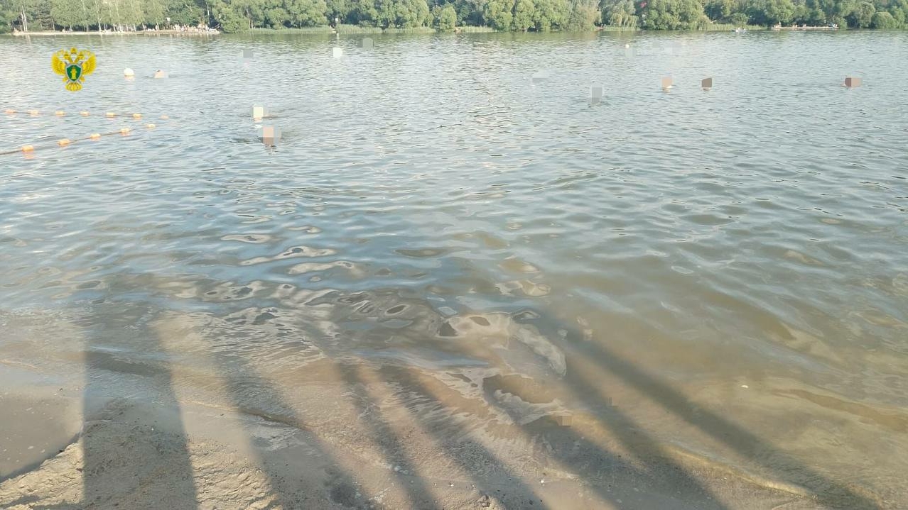 В Солнцево 12-летняя девочка захлебнулась в пруду