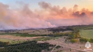 Больше в пять раз: пожар в Ростовской области локализовали на 169 гектарах