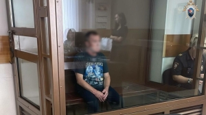 В Москве арестовали обвиняемого в убийстве в парке «Кусково»
