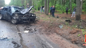 Маневр не в том месте: в Ленобласти водитель погиб после столкновения с деревом