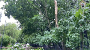 Смертоносный ураган «Эдгар» бушует в Москве: вырванное дерево убило мужчину