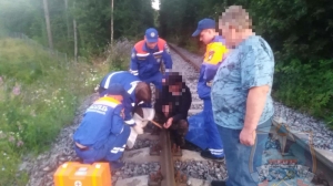 Спасатели помогли выбраться из-под моста Приозерска мужчине с переломанной ногой