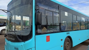 Полицией задержан подозреваемый в поджоге автобусов в Ломоносовском районе
