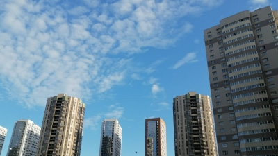 В Авито Недвижимости отметили рост вторичного рынка в Петербурге