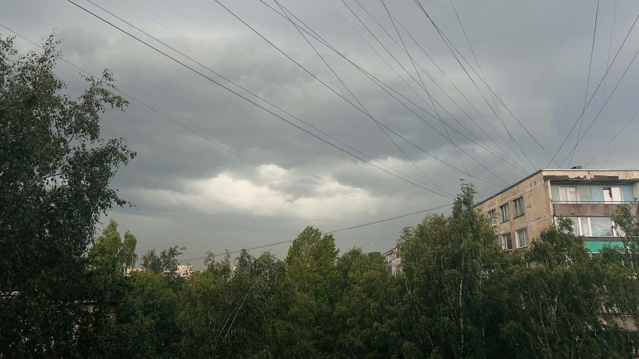 Колесов предупредил жителей Петербурга об очередных ливнях, грозах и штормовом ветре на неделе
