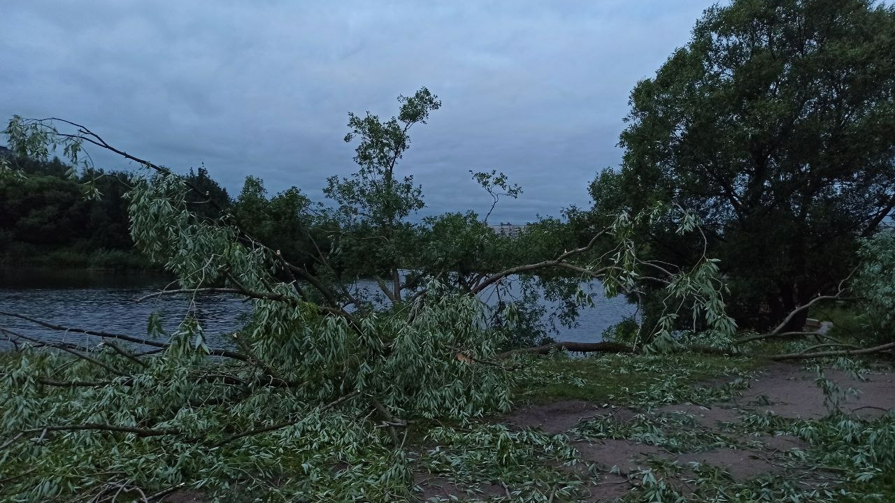 Грозы, ветер и ливни: петербуржцев ждет очередная непогода 3 июля