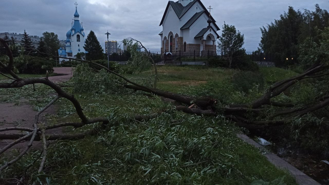 До 15 метров в секунду: Петербург продолжит страдать от штормовых ветров еще один день