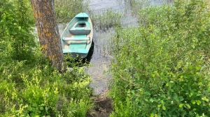В Карелии не могут найти выпавшего из лодки петербуржца