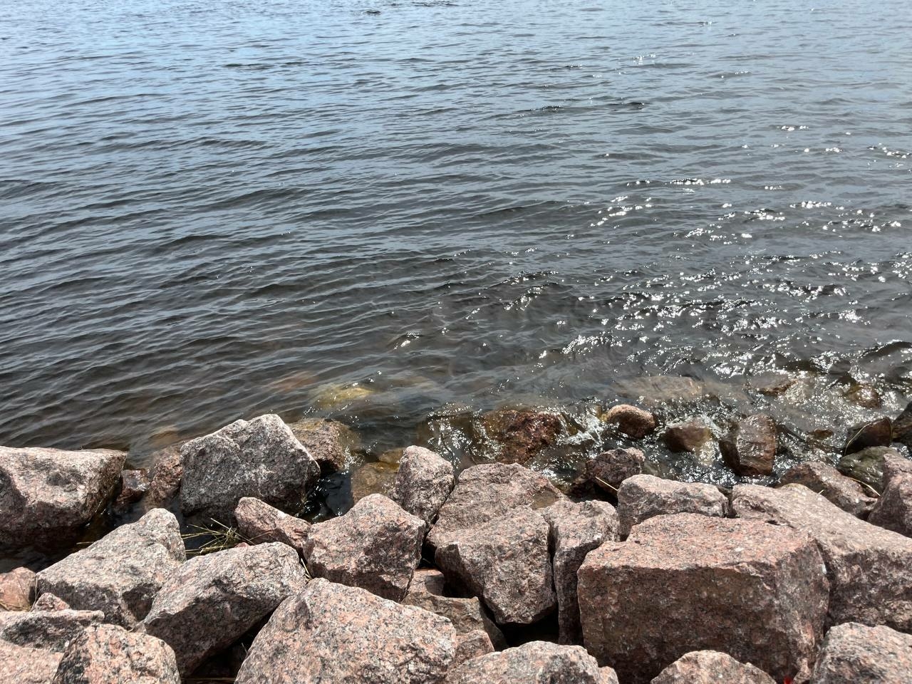 Петербуржцы загадили все городские пляжи: ни один водоем не пригоден для  купания