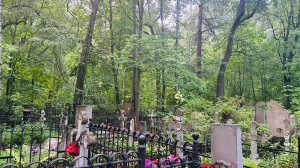 В Петербурге и Ленобласти неизвестные осквернили могилы участников СВО