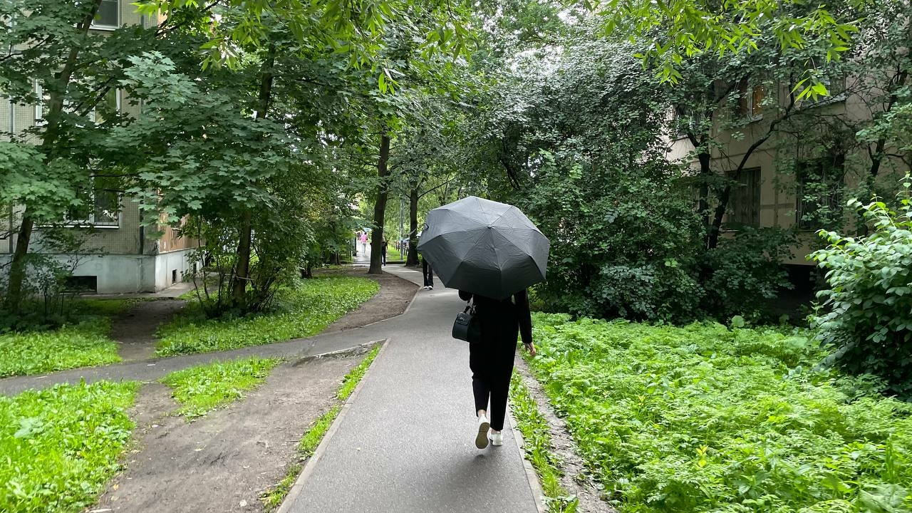 В Петербурге все стабильно: детям зальют за воротник на школьной линейке