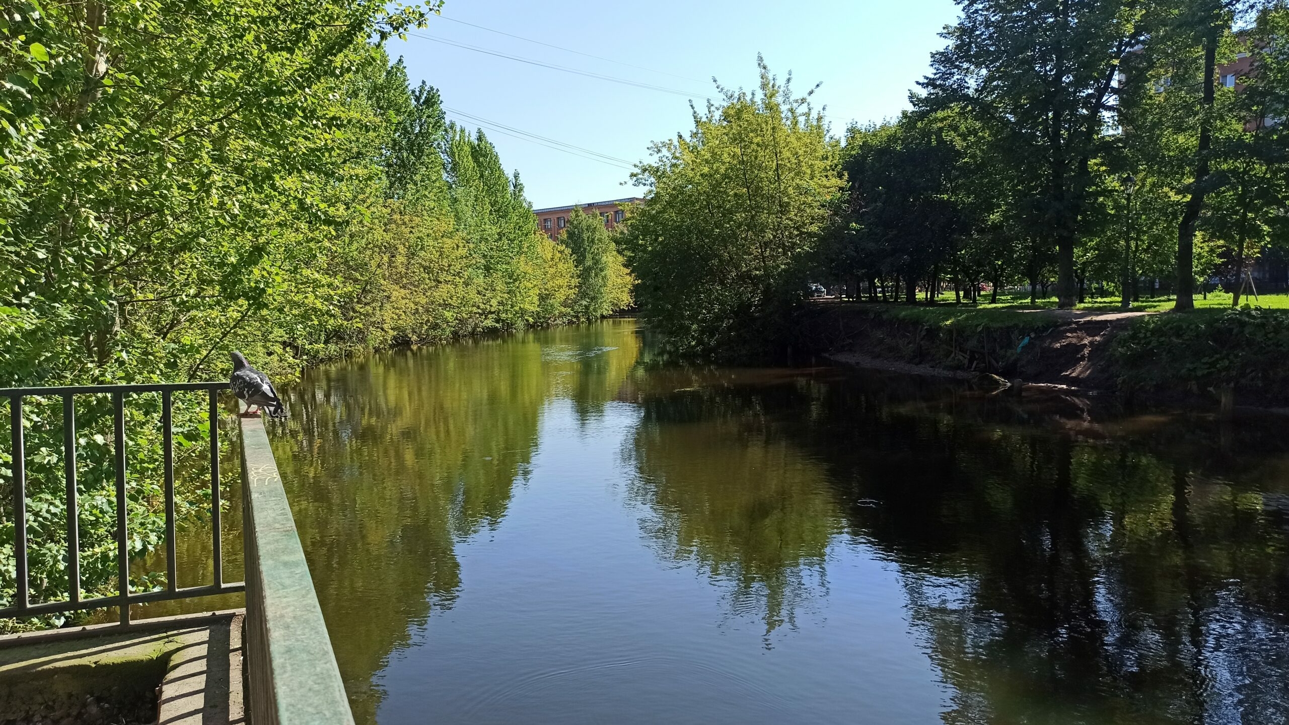 Сжег тело и развеял прах над рекой: россиянин получил приговор за жестокое убийство 13-летней девочки