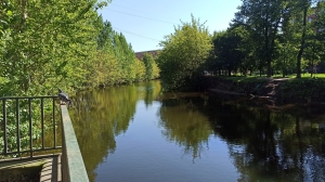 Сжег тело и развеял прах над рекой: россиянин получил приговор за жестокое убийство 13-летней девочки