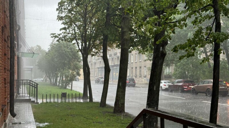 Автомобили под водой, деревья на дорогах: как Петербург переживает самое сильное за 160 лет наводнение