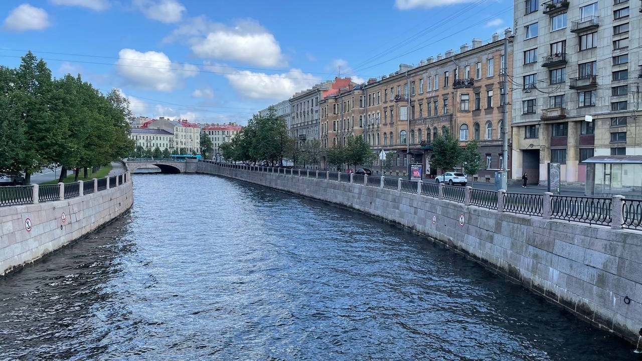 Цветы, питомцы и вышивка: куда бесплатно сходить в Петербурге 17 и 18 августа