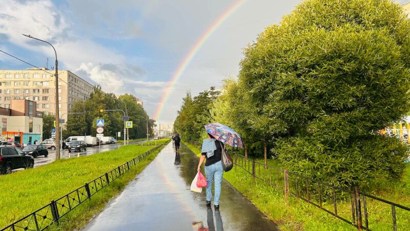 В Питере — плыть: пять дней дождя и пробок начинаются в Северной столице вместе с ПМЭФ-2025