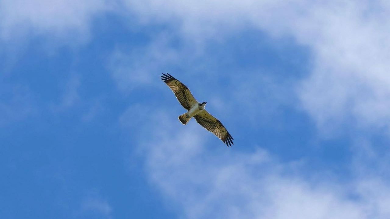 В России заработала платформа экологического мониторинга