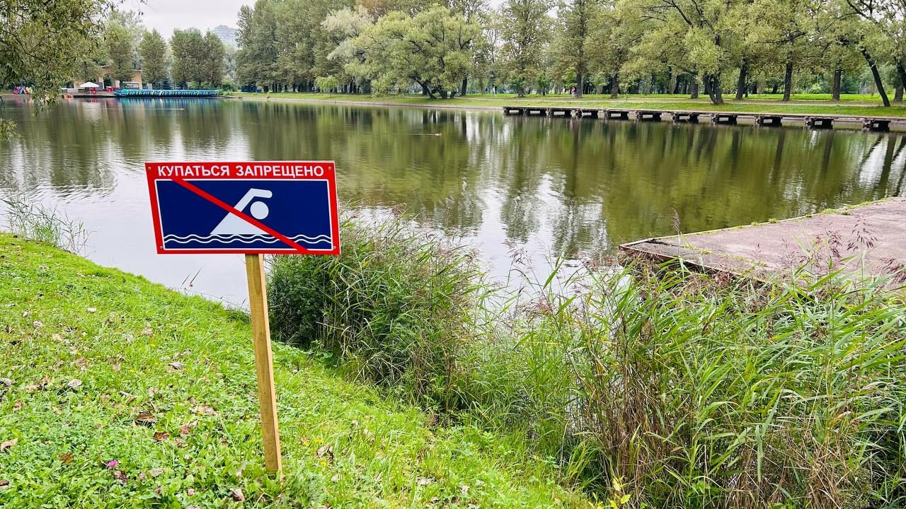 Пьяное купание в парковом пруду унесло жизнь петербуржца