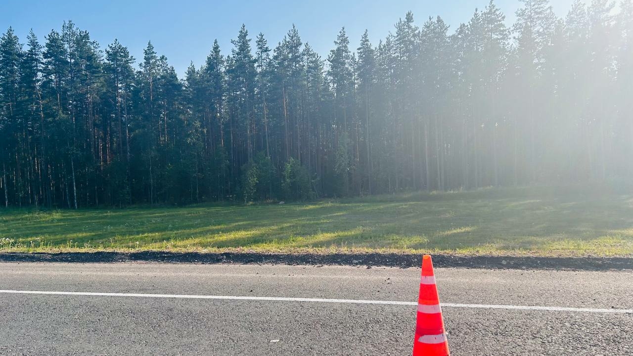 Во Всеволожском районе Ленобласти в ДТП пострадала девятиклассница