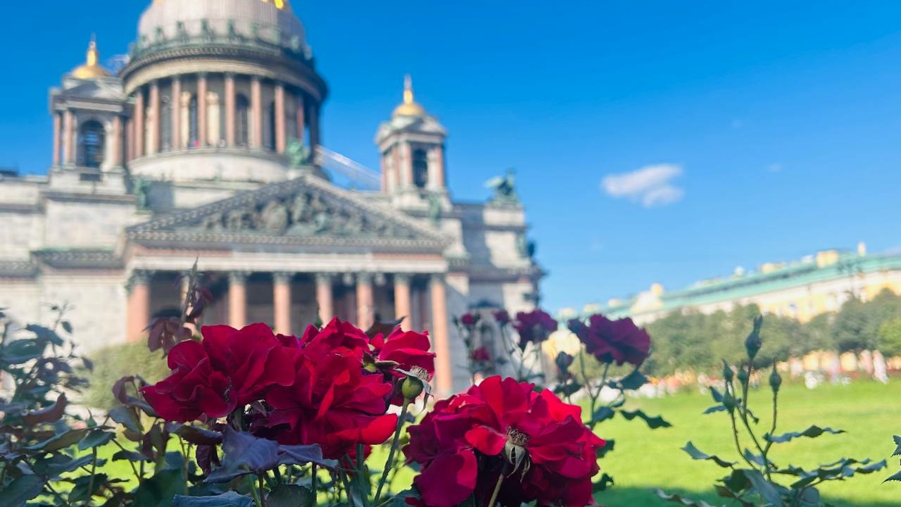 Бабье лето не заканчивается: в Петербурге побито несколько температурных рекордов