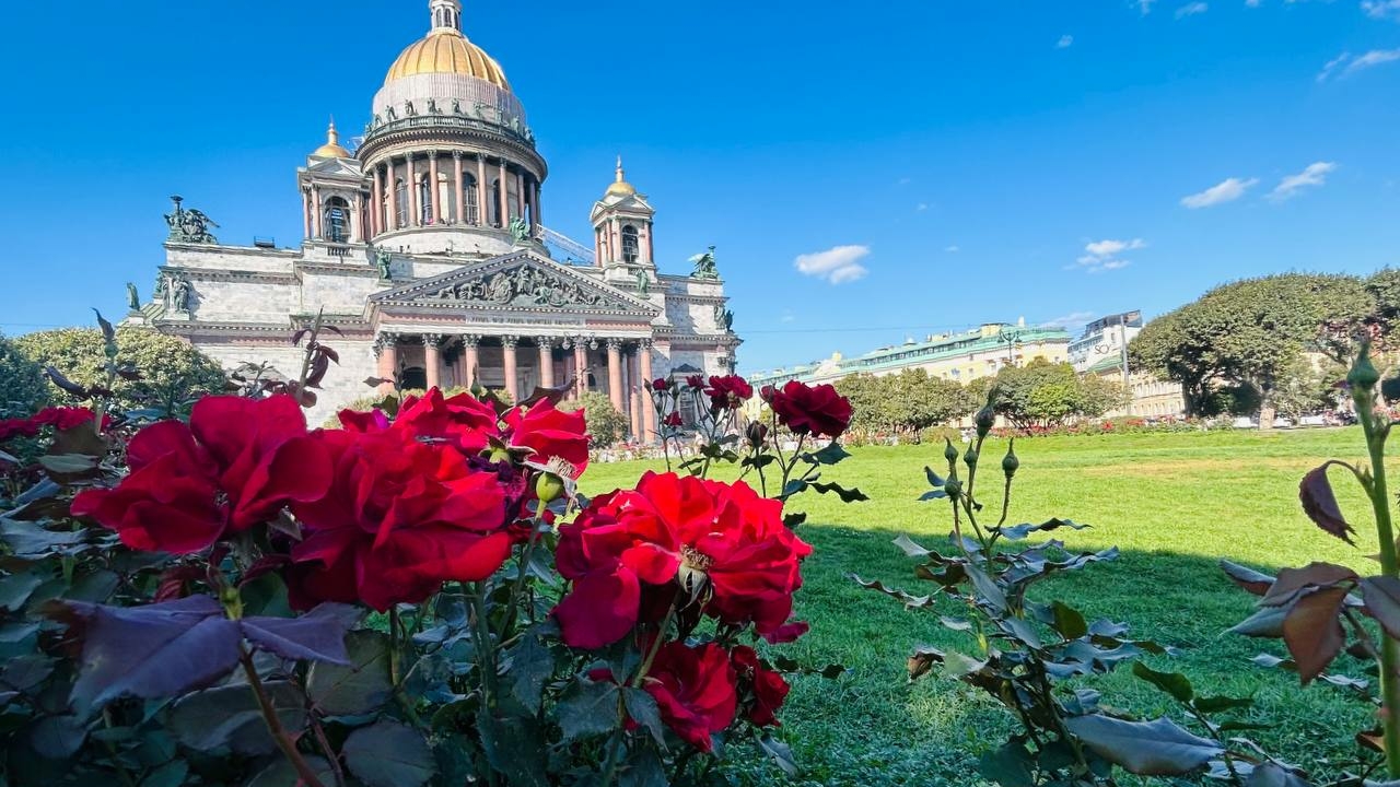 Солнце светило 215 часов: сентябрь в Петербурге побил еще один рекорд