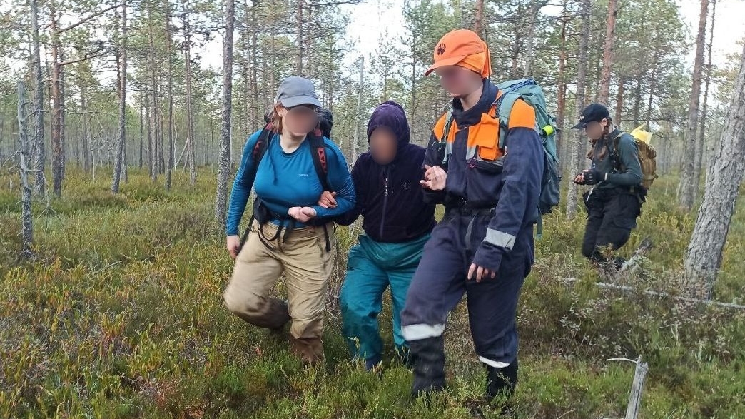 «Везучая»: пенсионерку нашли после 9 дней блуждания по лесам Псковской и Ленинградской областей