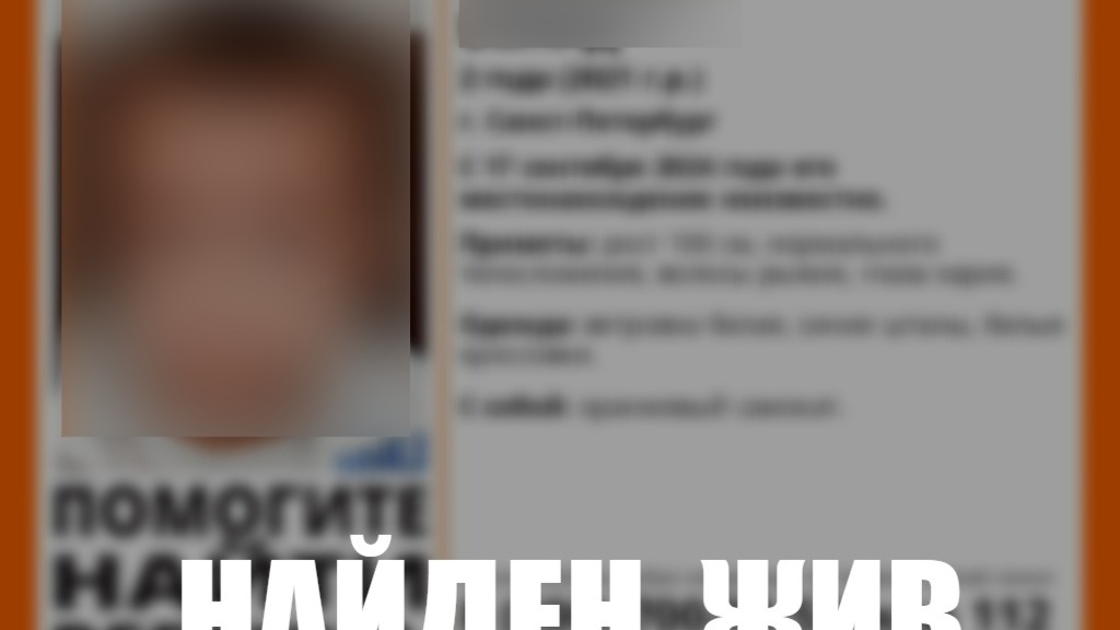 Волонтеры нашли пропавшего в Петербурге двухлетнего мальчика с рыжими волосами