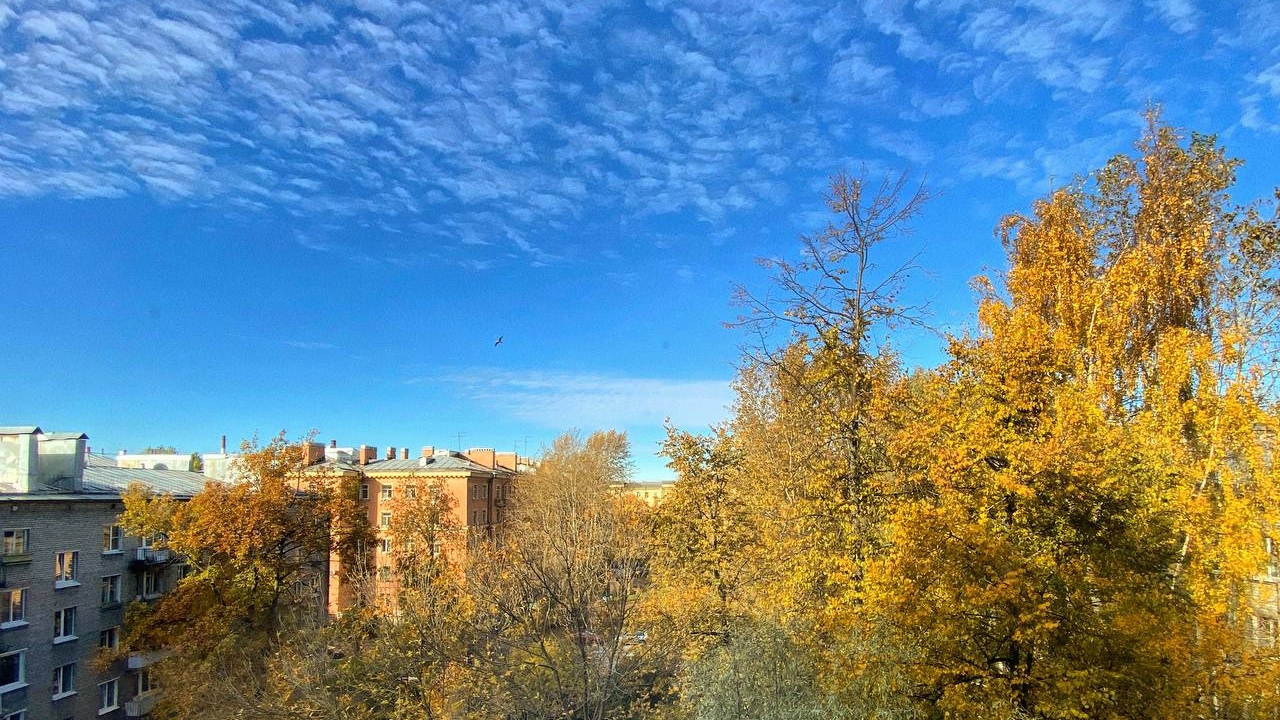 Петербуржцам рассказали, когда из города уйдет тепло