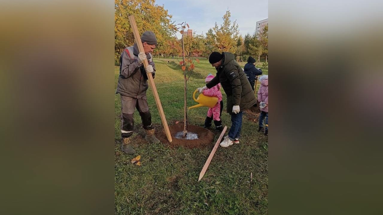 «Осенняя уборка» с весенним настроением: в Петербурге высадили 130 тысяч луковичных цветов