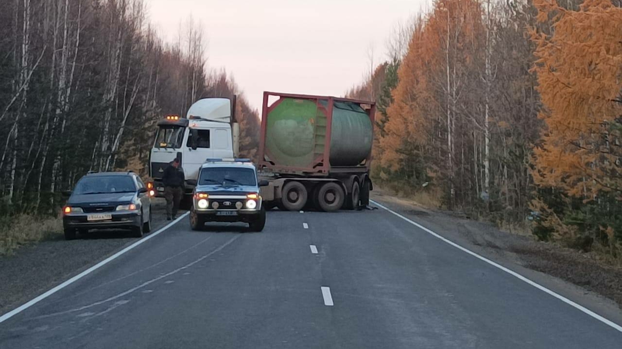 На трассе под Иркутском произошло ДТП из-за мертвого медведя: люди не пострадали