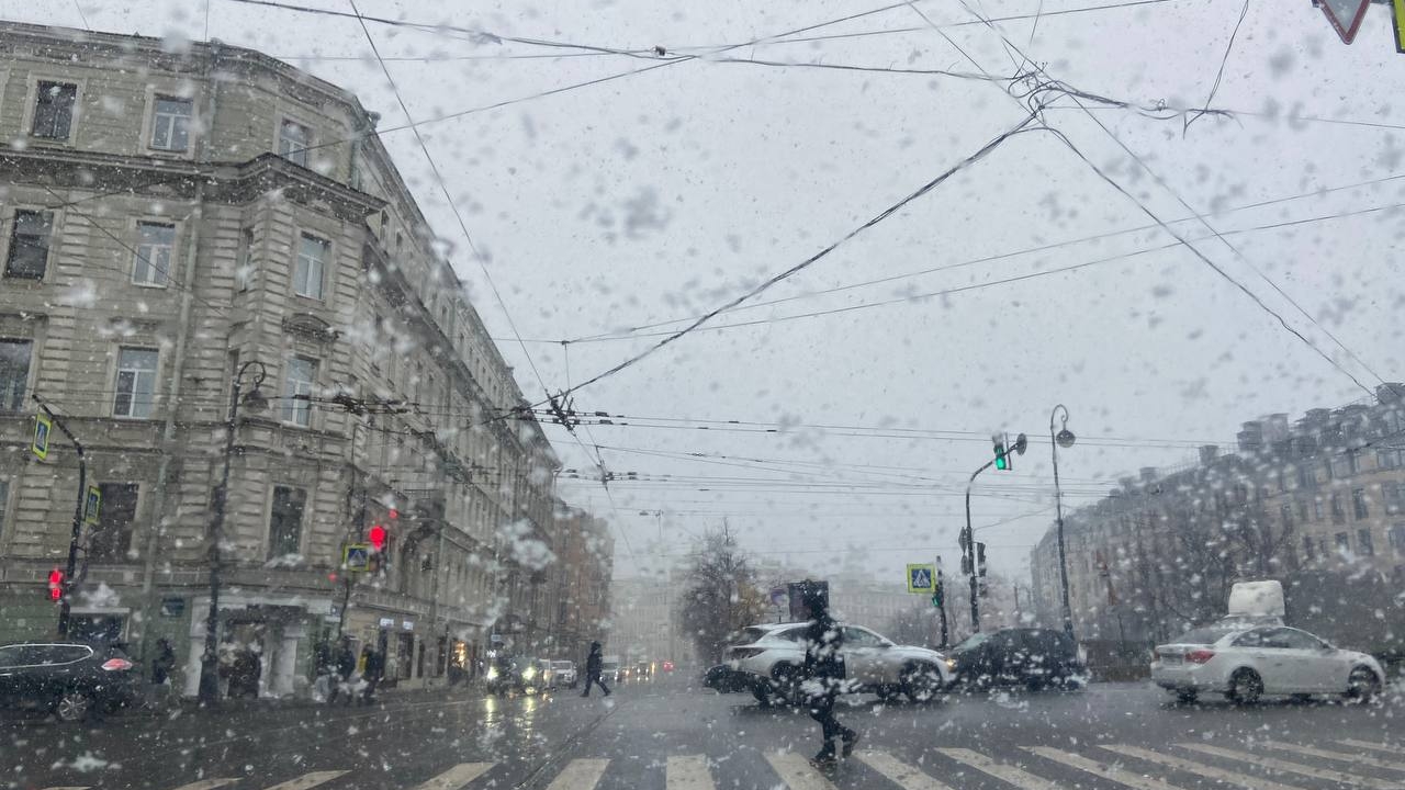 В Петербурге началась переходная на предзимье неделя