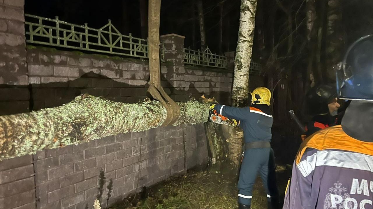 Петербургские спасатели всю ночь 17 ноября следили за безопасностью города во время жесткого шторма