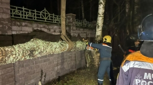 Петербургские спасатели всю ночь 17 ноября следили за безопасностью города во время жесткого шторма