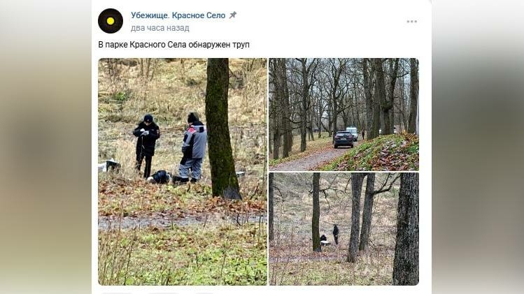 Незнакомка с сединой в волосах: женщина с травмами лица найдена мертвой в парке Красного Села