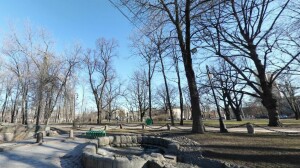 В Петербурге на ландшафтные работы за два года потратят 7 млрд