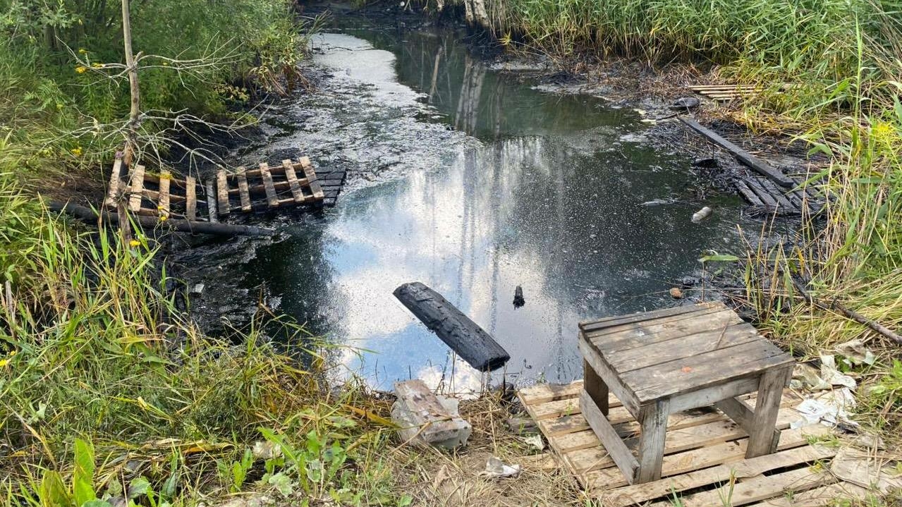 Почти два миллиона за грязную воду: «ТЭК СПб» поплатится за экологический ущерб в Металлострое