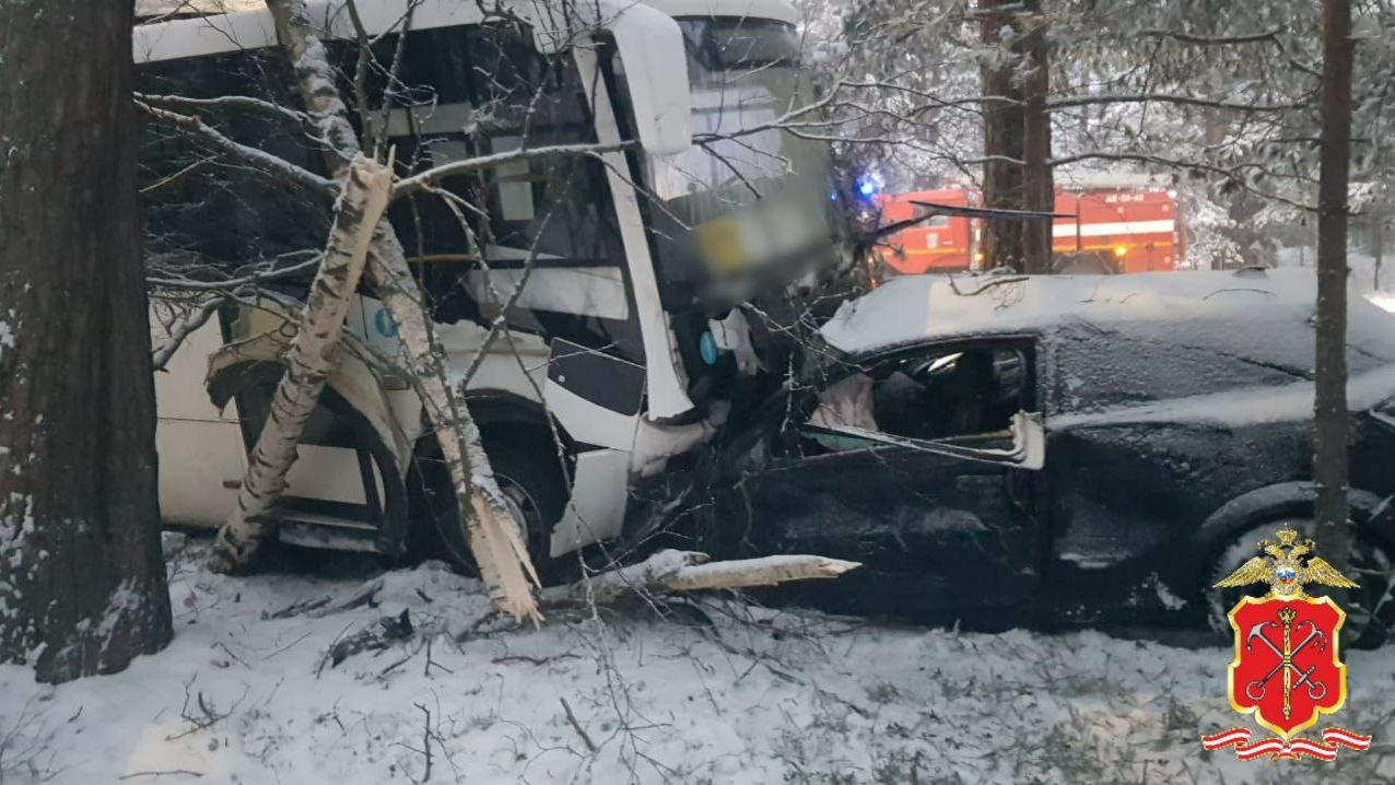 На трассе «Санкт-Петербург — Ручьи» водитель легковушки насмерть врезался в рейсовый автобус