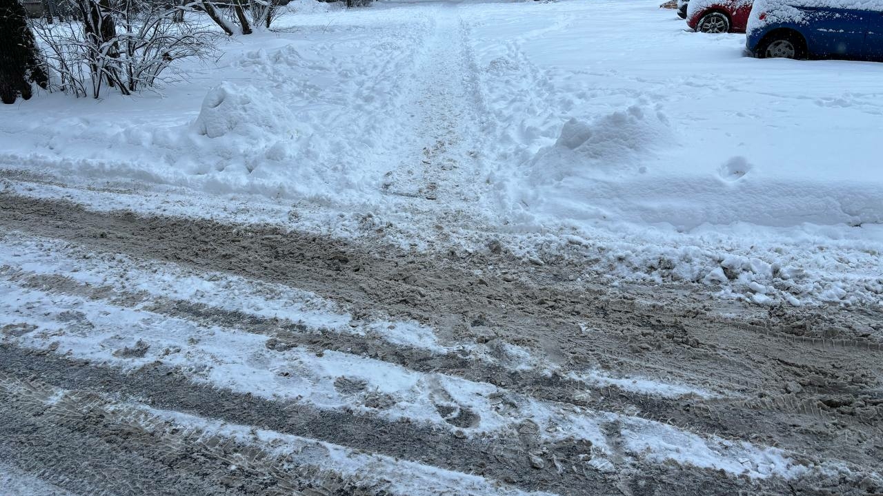В Смольном признали провал эксперимента с дорогим противогололедным реагентом