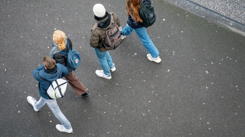 Расписание осенних каникул в Петербурге: будут ли учиться школьники и студенты 1-4 ноября?