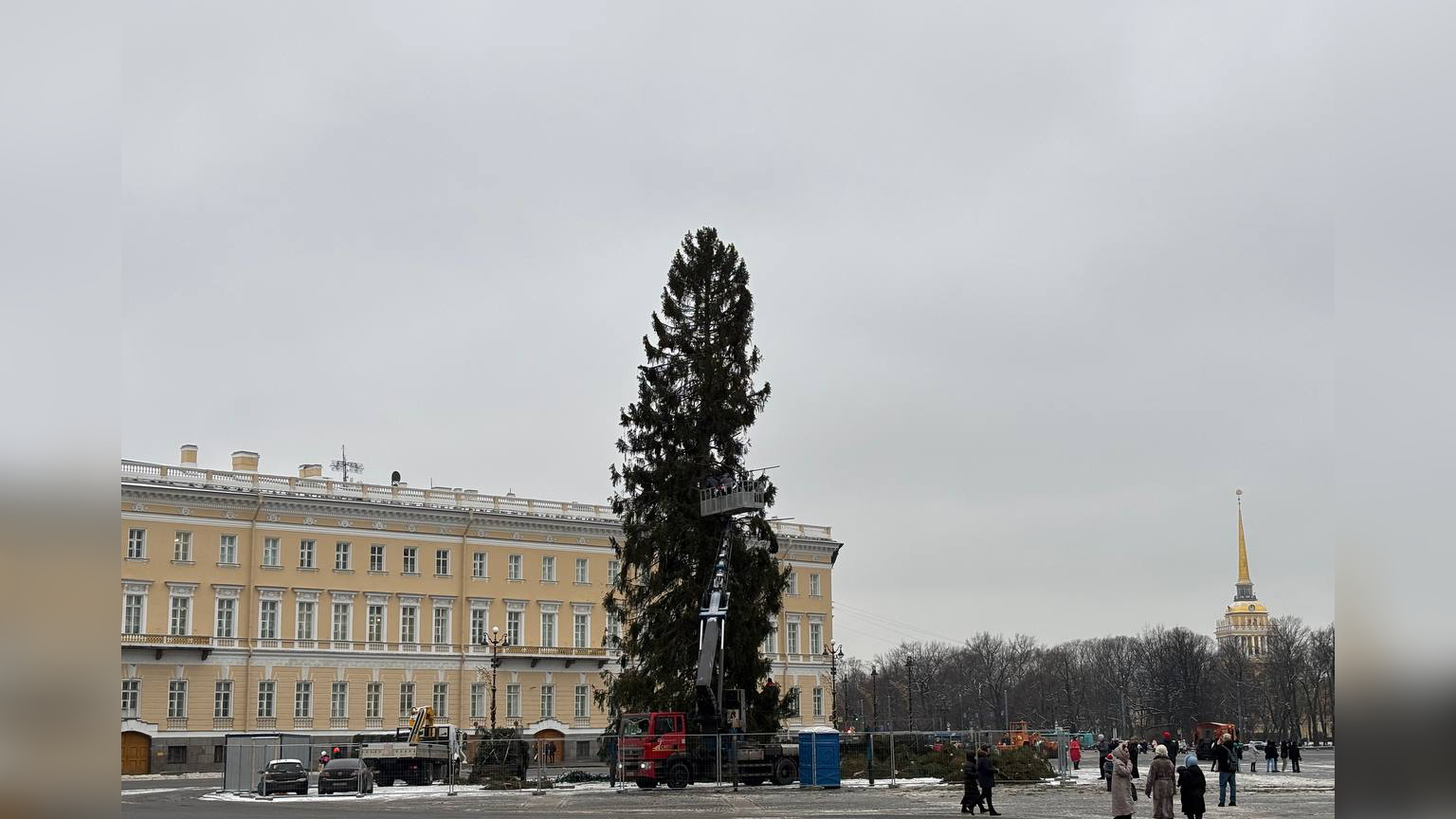 Главную петербургскую новогоднюю елку установили на Дворцовой площади