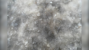 Осторожно, скользко: петербуржцев предупредили о гололедице 17 октября