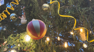 Гороскоп на 2026: три знака ждет невероятная удача в год Красной Огненной Лошади