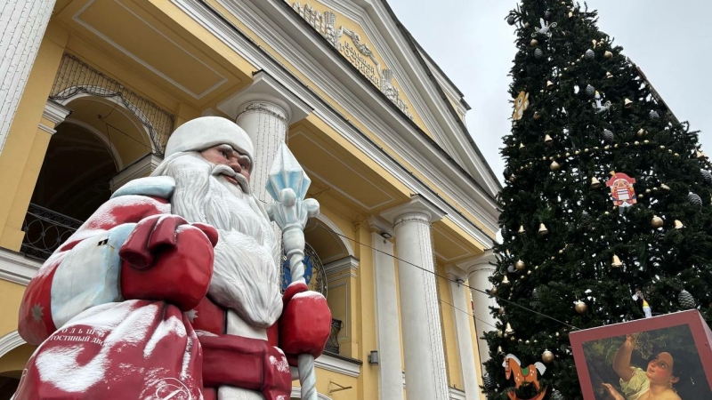 А мороз не треснет? Петербуржцам предлагают арендовать елки и вызвать Снегурочек за баснословные деньги