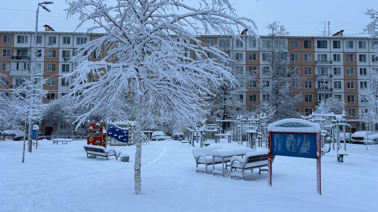 На периферии антициклона: в Петербург и Ленобласть пришли морозы
