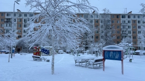 На периферии антициклона: в Петербург и Ленобласть пришли морозы