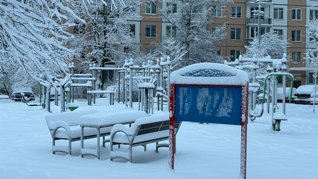 Россиянам напомнили о дедовском способе зимней чистки ковров