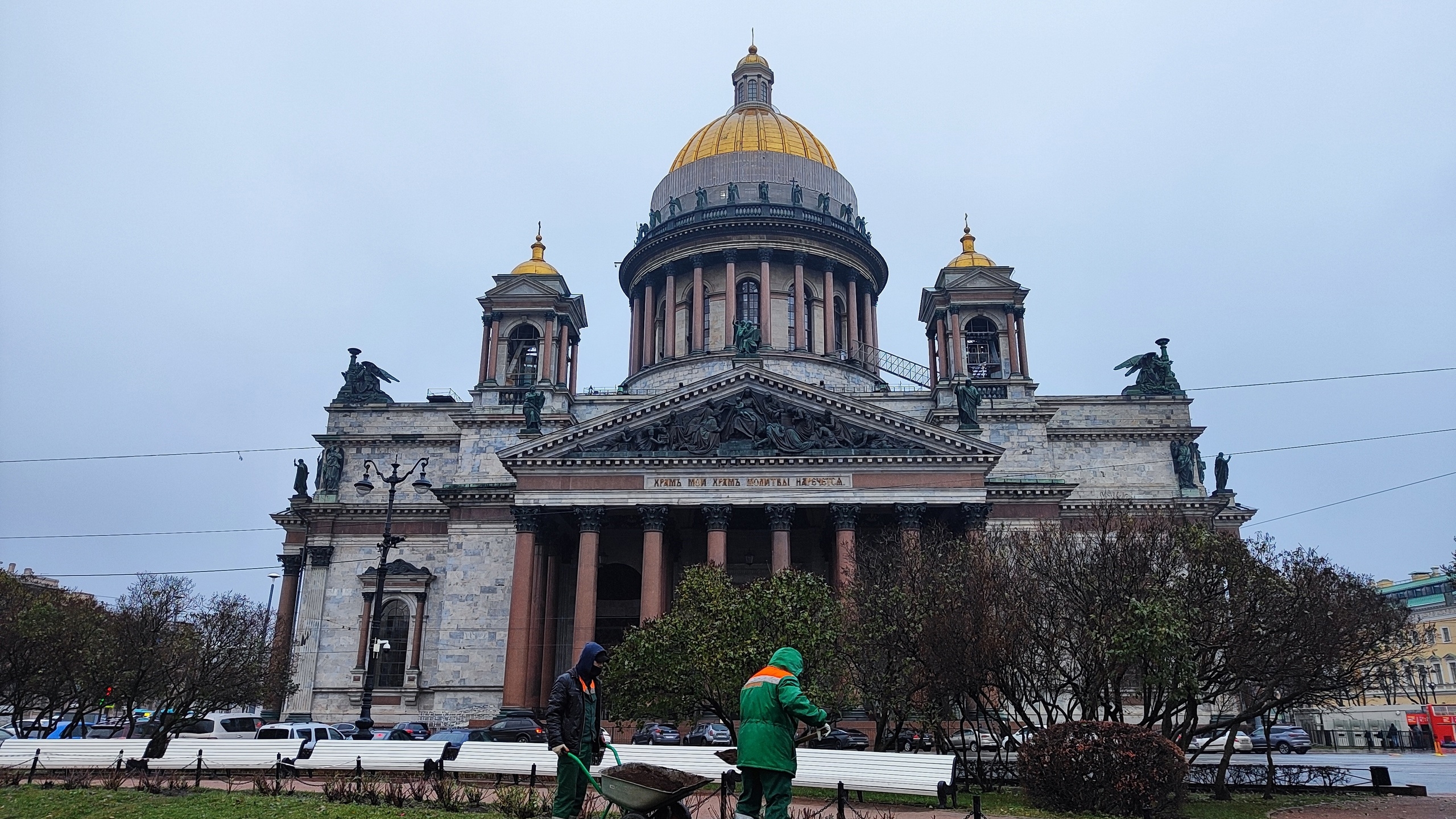 Весна в декабре сбила с толку: деревья в Петербурге торопятся с цветением