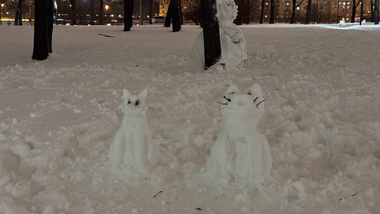 Жителей Петербурга предупредили о морозном рекорде 18 февраля