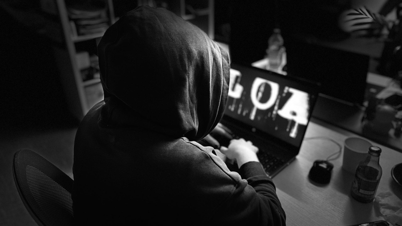 Как жители Петербурга теряют деньги из-за юридических фирм и адвокатов?