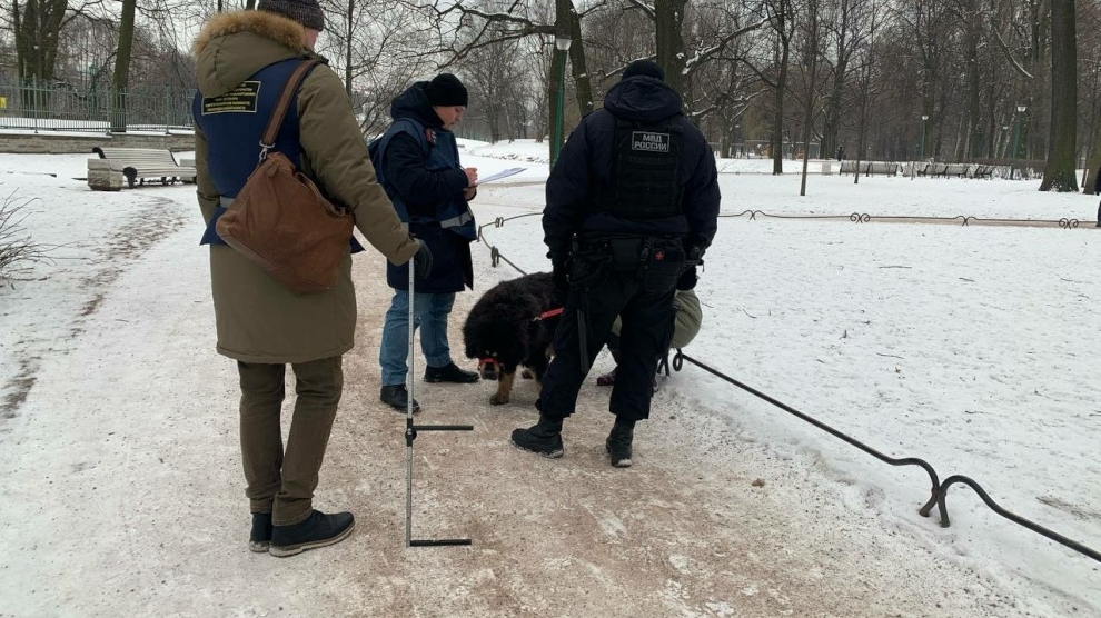 В Петербурге 11 владельцев собак получили протоколы после рейда